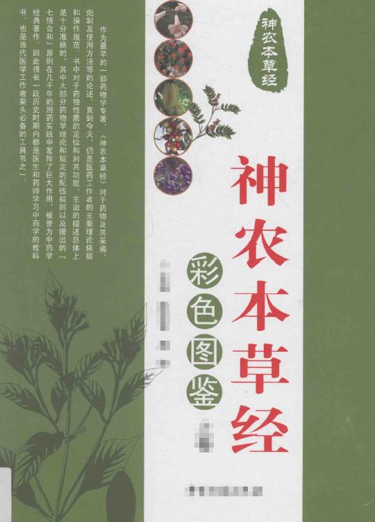 中医典著 | 《神农本草经》各版本大合集