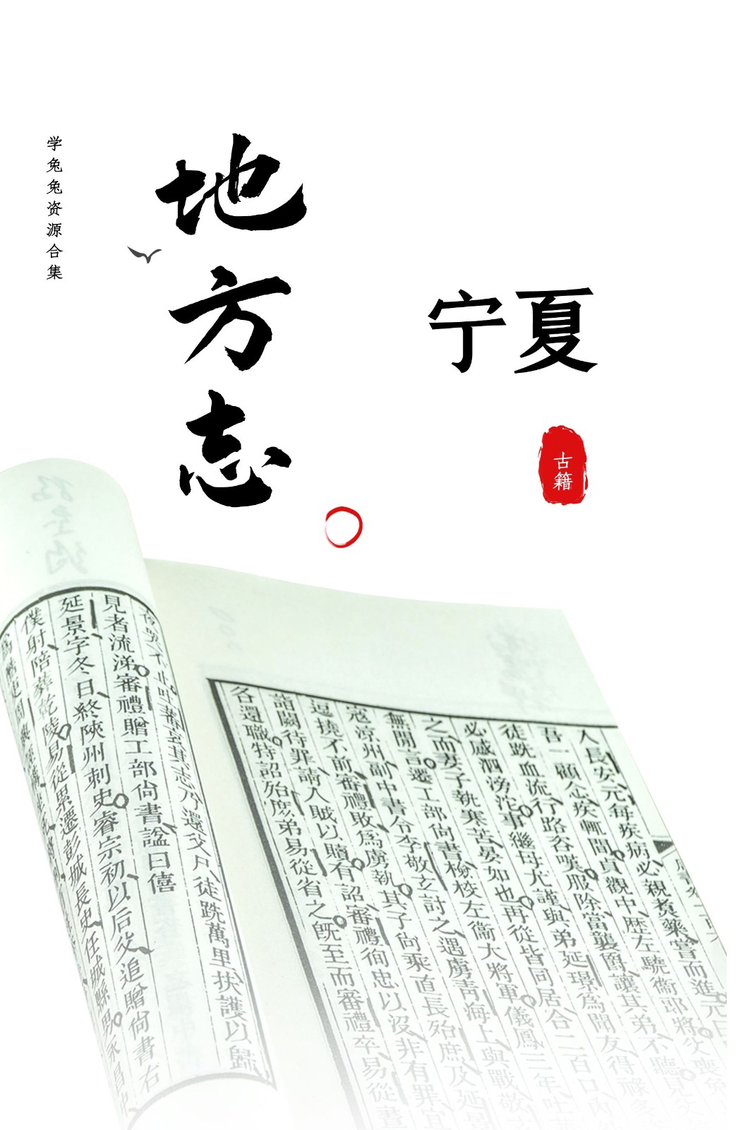 【地方志】宁夏地方志 2.86G 资源合集[精华资源]
