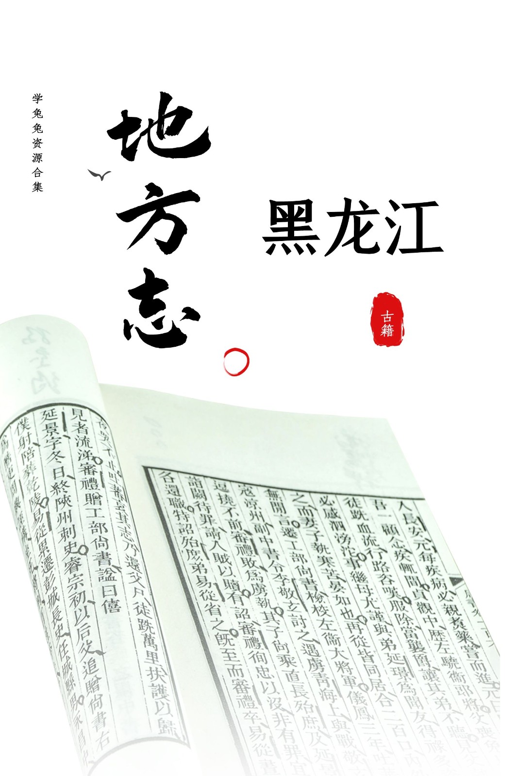 【地方志】黑龙江省地方志 3.82G 资源合集[精华资源]