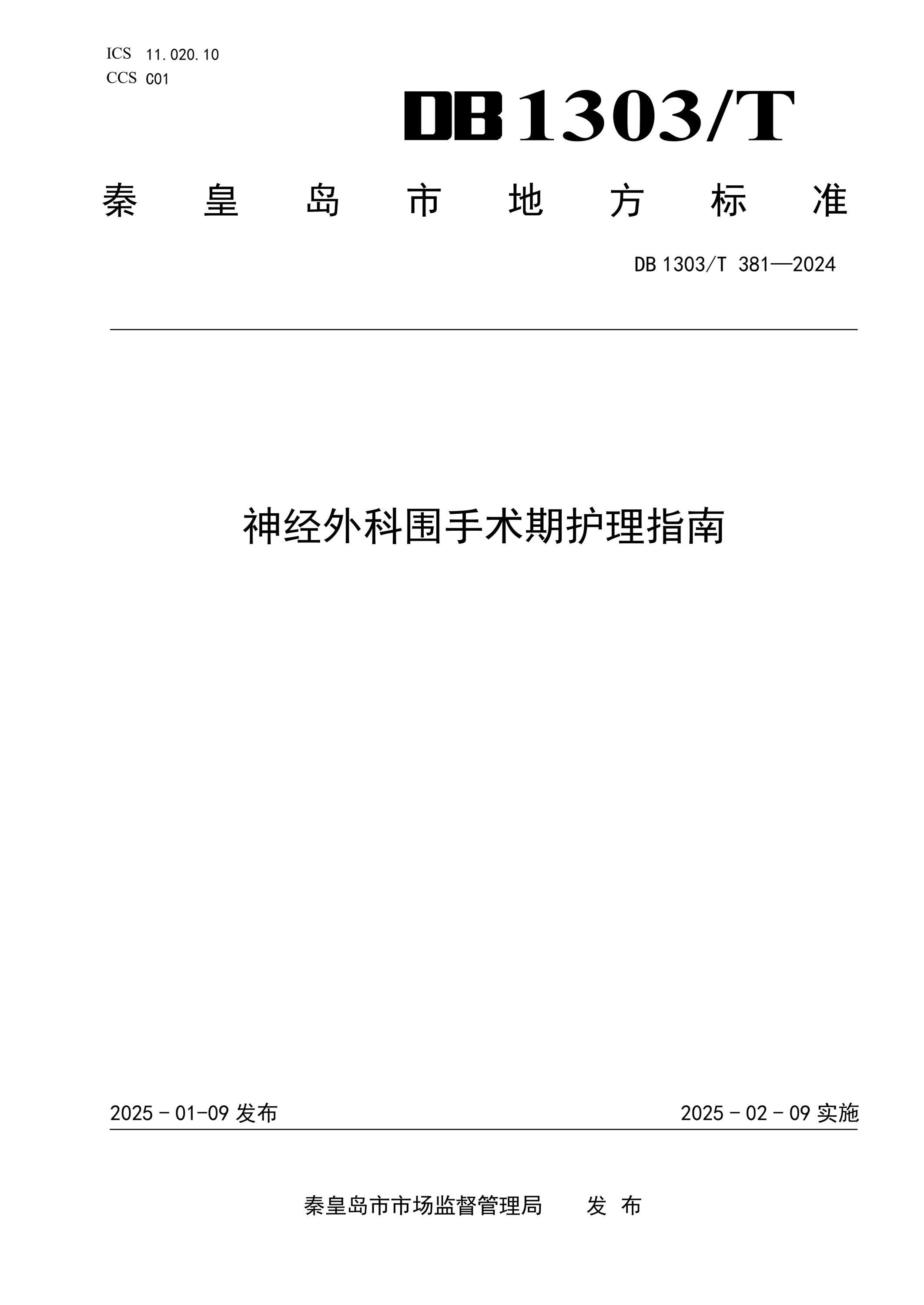 DB1303/T 381-2024 神经外科围手术期护理指南资源截图