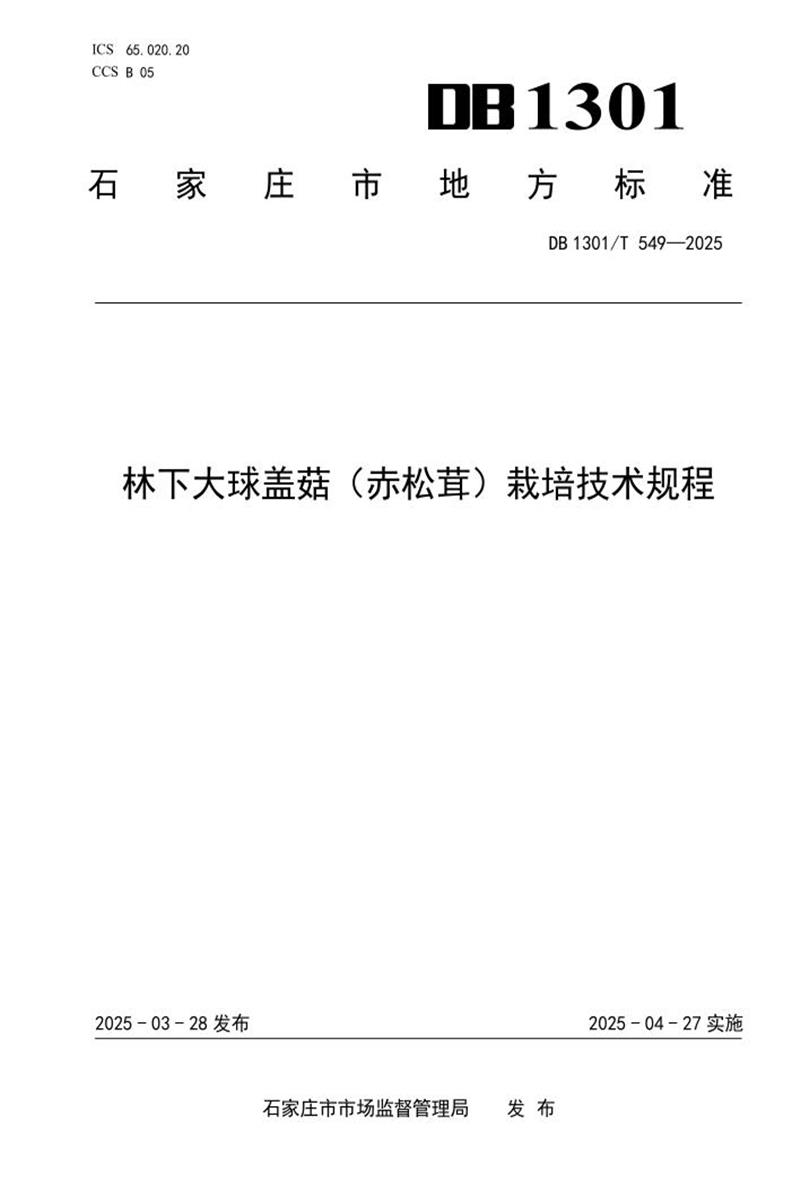 DB1301/T 549-2025 林下大球盖菇（赤松茸）栽培技术规范资源截图