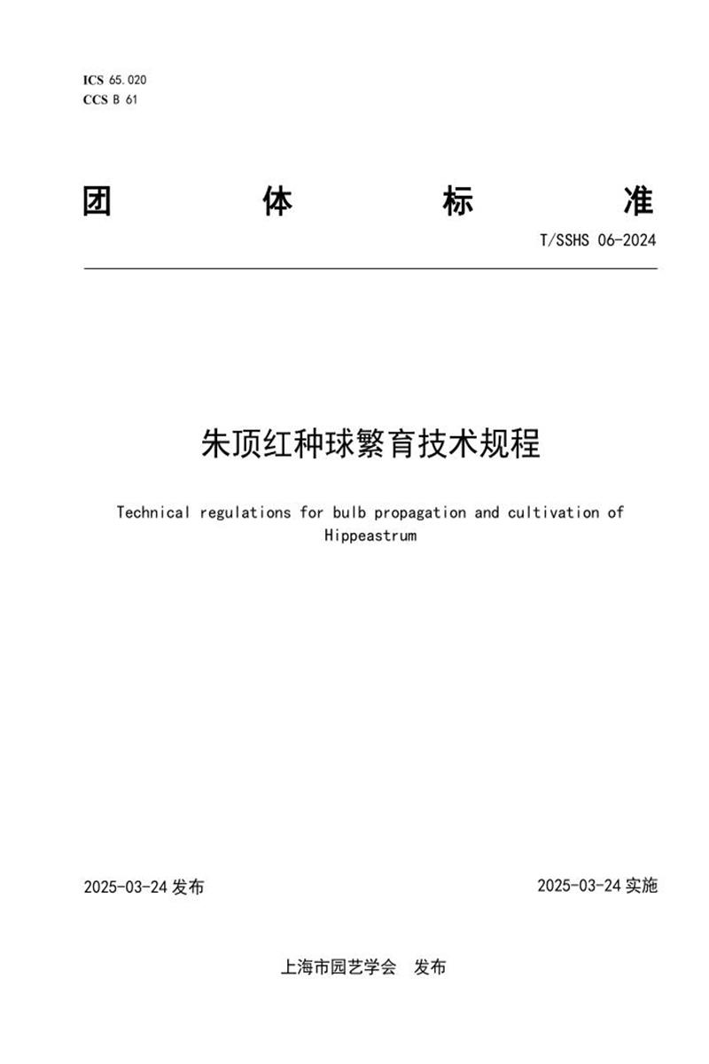T/SSHS 06-2024 朱顶红种球繁育技术规程资源截图