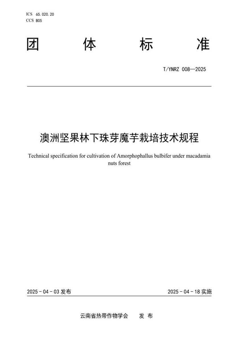 T/YNRZ 008-2025 澳洲坚果林下珠芽魔芋栽培技术规程资源截图