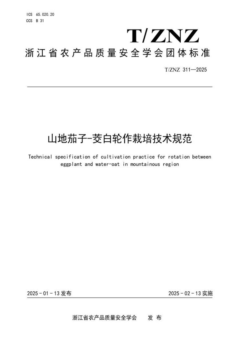 T/ZNZ 311-2025 山地茄子-茭白轮作栽培技术规范资源截图