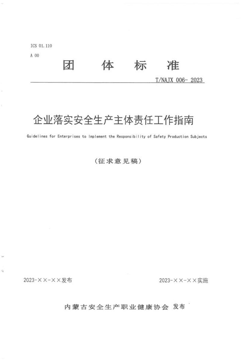 T/NAJX 006-2023 企业落实安全生产主体责任工作指南资源截图