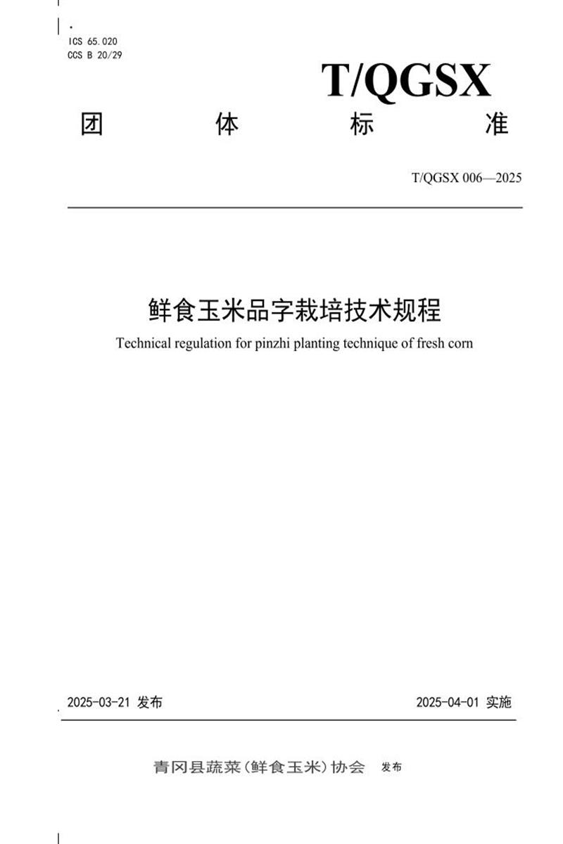 T/QGSX 006-2025 鲜食玉米品字栽培技术规程资源截图