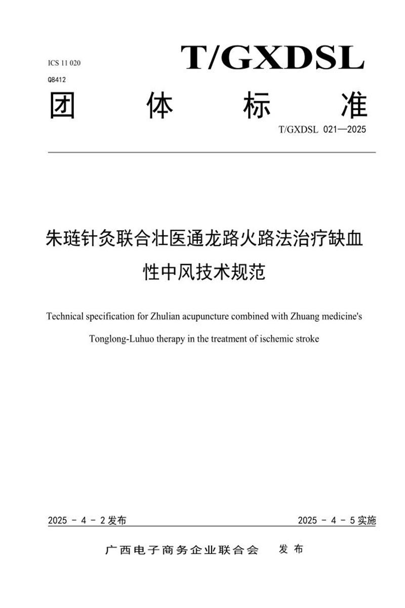 T/GXDSL 021-2025 朱琏针灸联合壮医通龙路火路法治疗缺血性中风技术规范资源截图