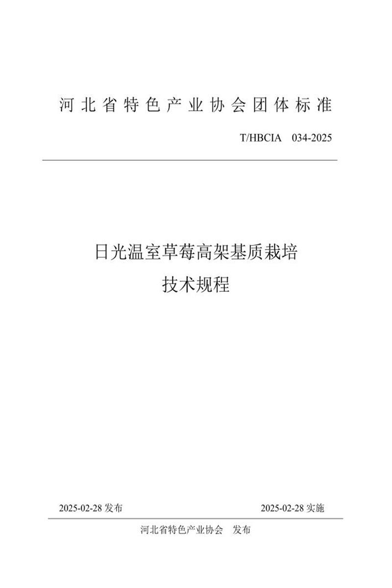 T/HBCIA 034-2025 日光温室草莓高架基质栽培技术规程资源截图