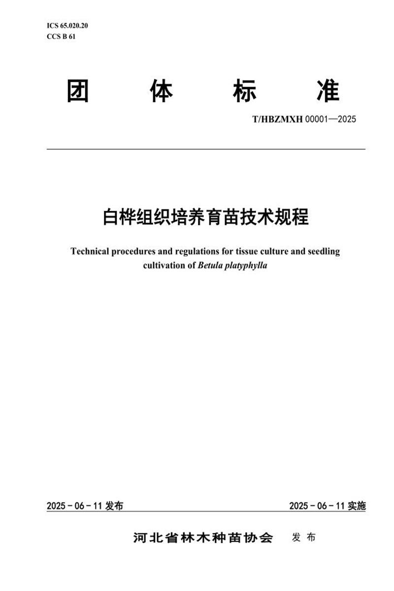 T/HBZMXH 00001-2025 白桦组织培养育苗技术规程资源截图