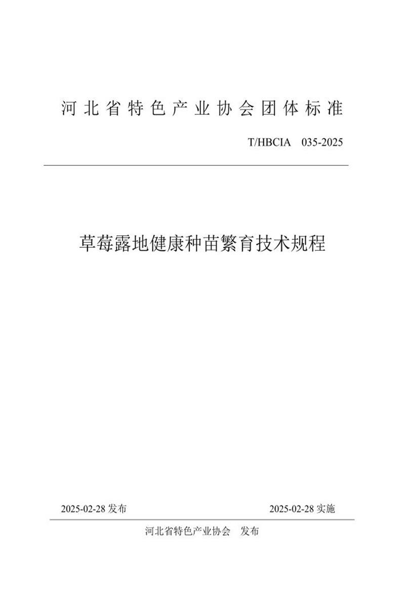 T/HBCIA 035-2025 草莓露地健康种苗繁育技术规程资源截图