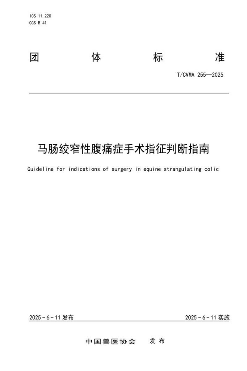T/CVMA 255-2025 马肠绞窄性腹痛症手术指征判断指南资源截图