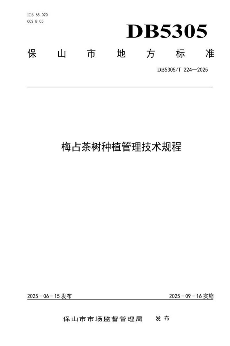 DB5305/T 224-2025 梅占茶树种植管理技术规程资源截图