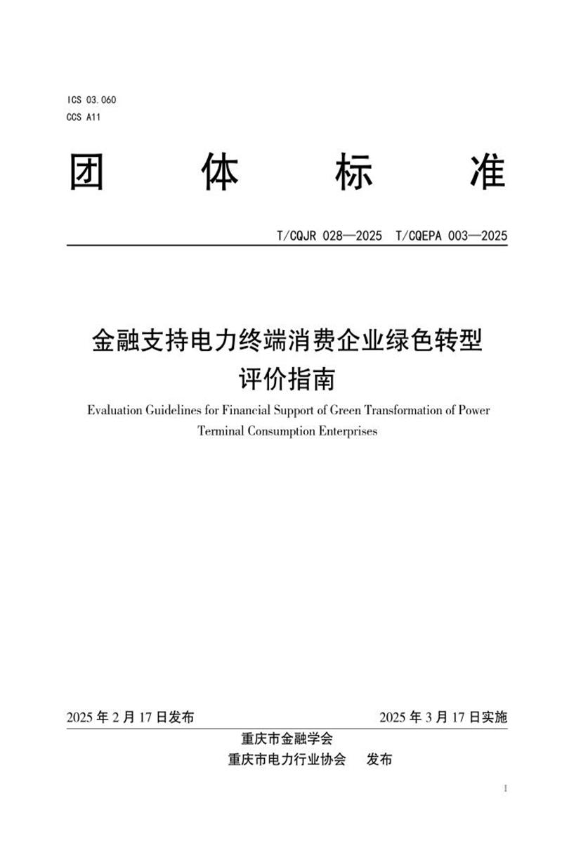 T/CQJR 028-2025 金融支持电力终端消费企业绿色转型评价指南资源截图