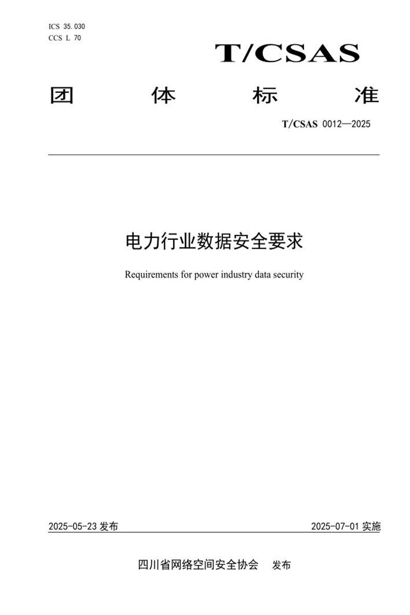 T/CSAS 0012-2025 电力行业数据安全要求资源截图