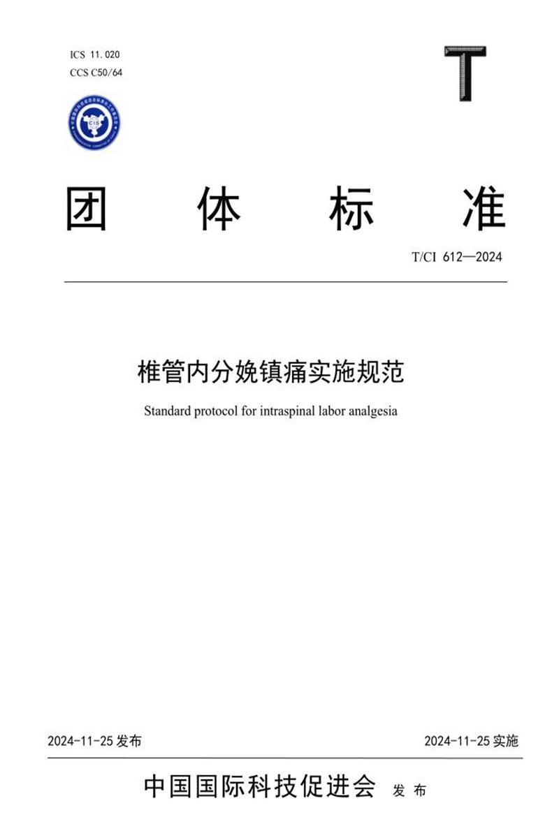T/CI 612-2024 椎管内分娩镇痛实施规范资源截图