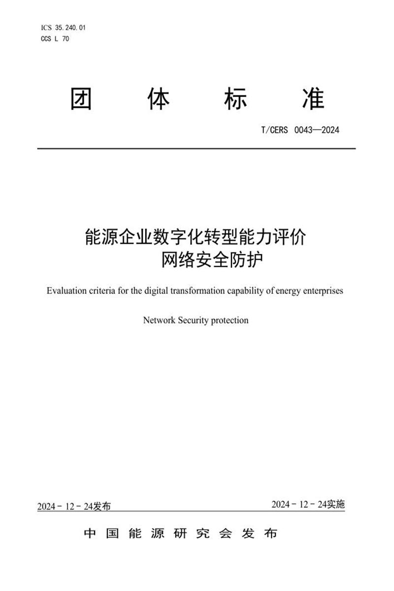 T/CERS 0043-2024 能源企业数字化转型能力评价 网络安全防护资源截图