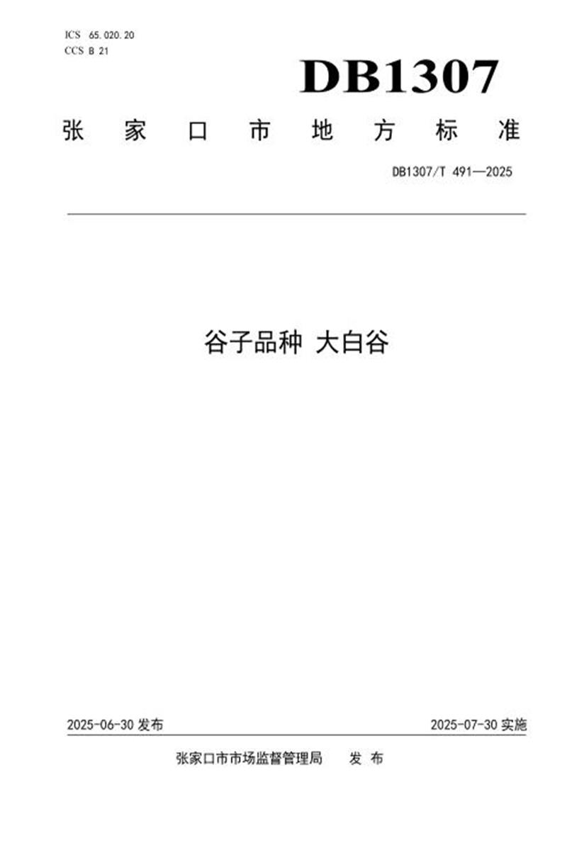 DB1307/T 491-2025 谷子品种 大白谷资源截图