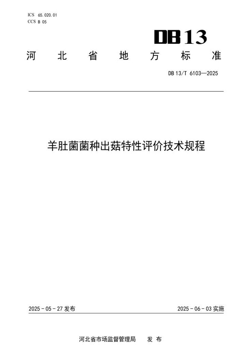 DB13/T 6103-2025 羊肚菌菌种出菇特性评价技术规程资源截图