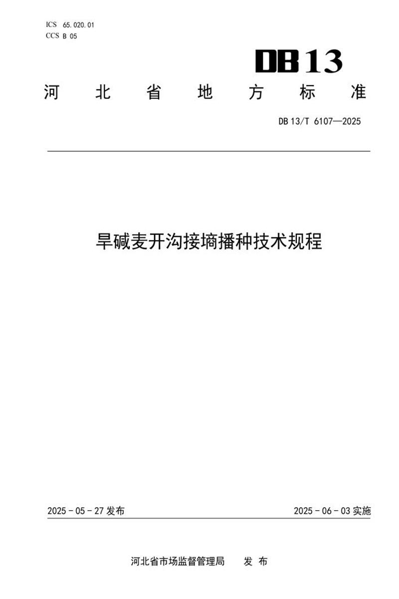 DB13/T 6107-2025 旱碱麦开沟接墒播种技术规程资源截图