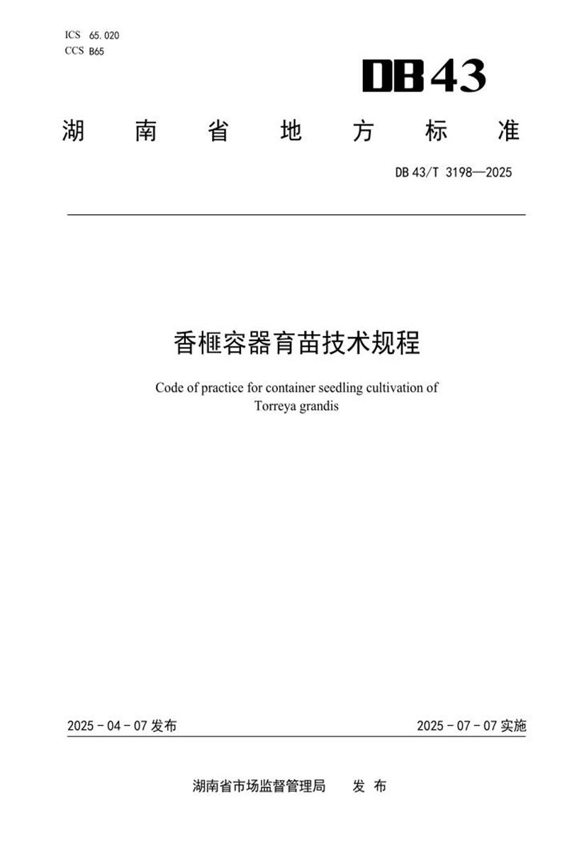 DB43/T 3198-2025 香榧容器育苗技术规程资源截图