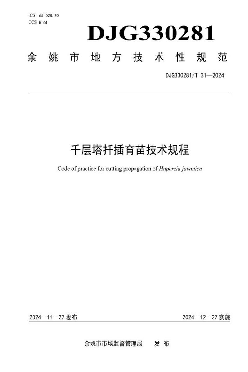 DJG330281/T 31-2024 千层塔扦插育苗技术规程资源截图
