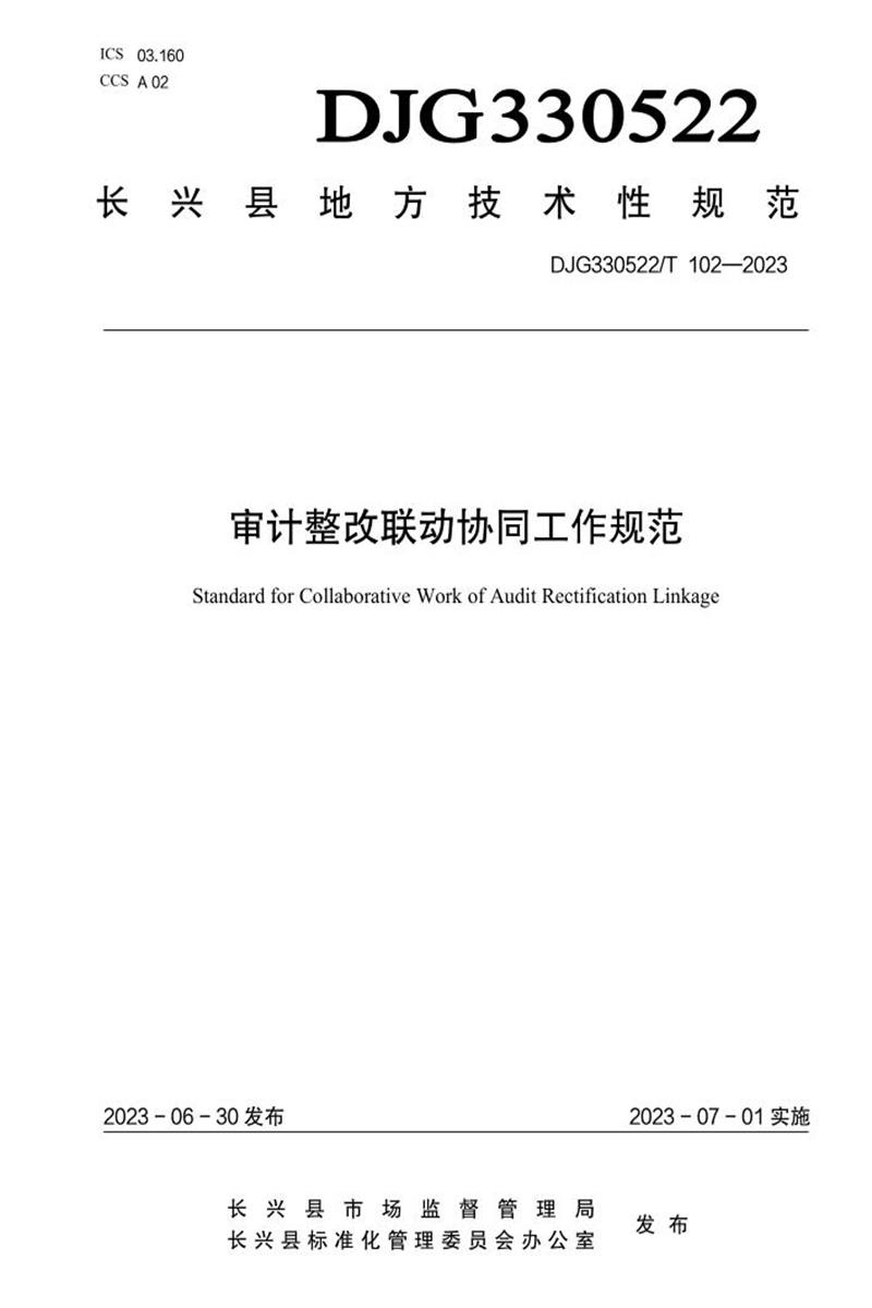 DJG330522/T 102-2023 审计整改联动协同工作规范资源截图