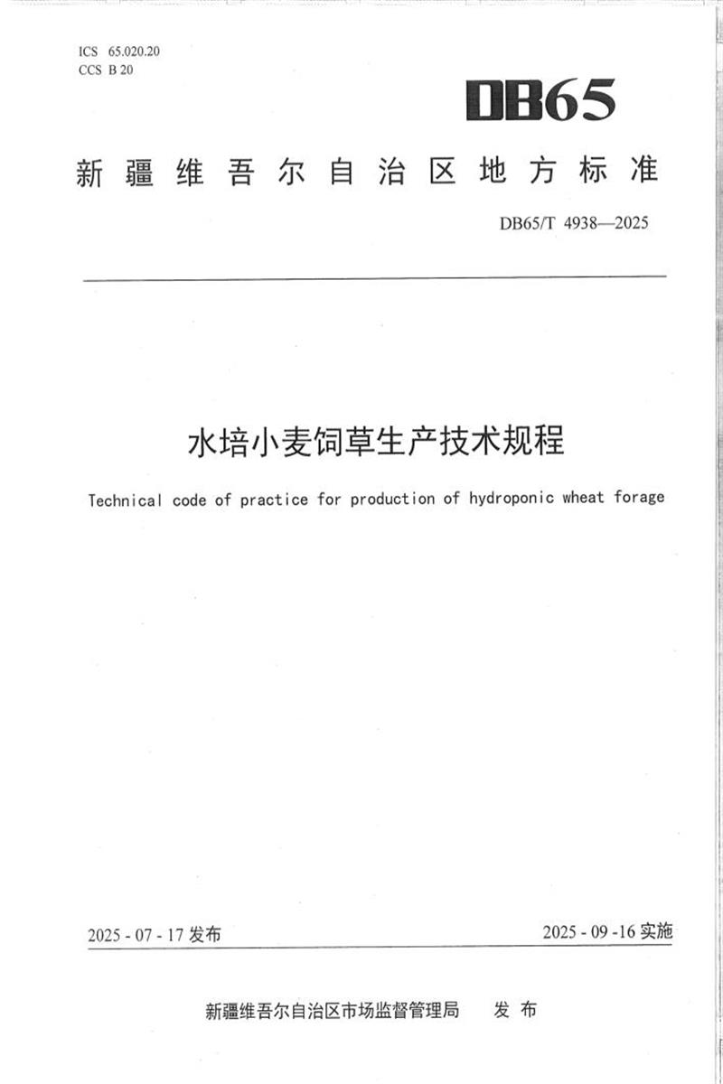 DB65/T 4938-2025 水培小麦饲草生产技术规程资源截图