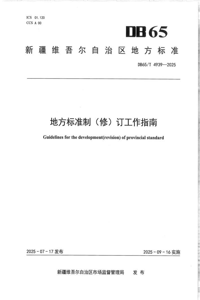 DB65/T 4939-2025 地方标准制(修)订工作指南资源截图