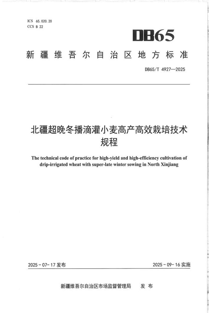 DB65/T 4927-2025 北疆超晚冬播滴灌小麦高产高效栽培技术规程资源截图