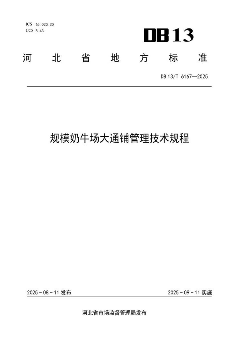DB13/T  6167-2025 规模奶牛场大通铺管理技术规程资源截图