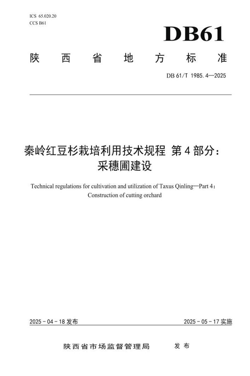 DB61/T 1985.4-2025 秦岭红豆杉栽培利用技术规程 第4部分：采穗圃建设资源截图