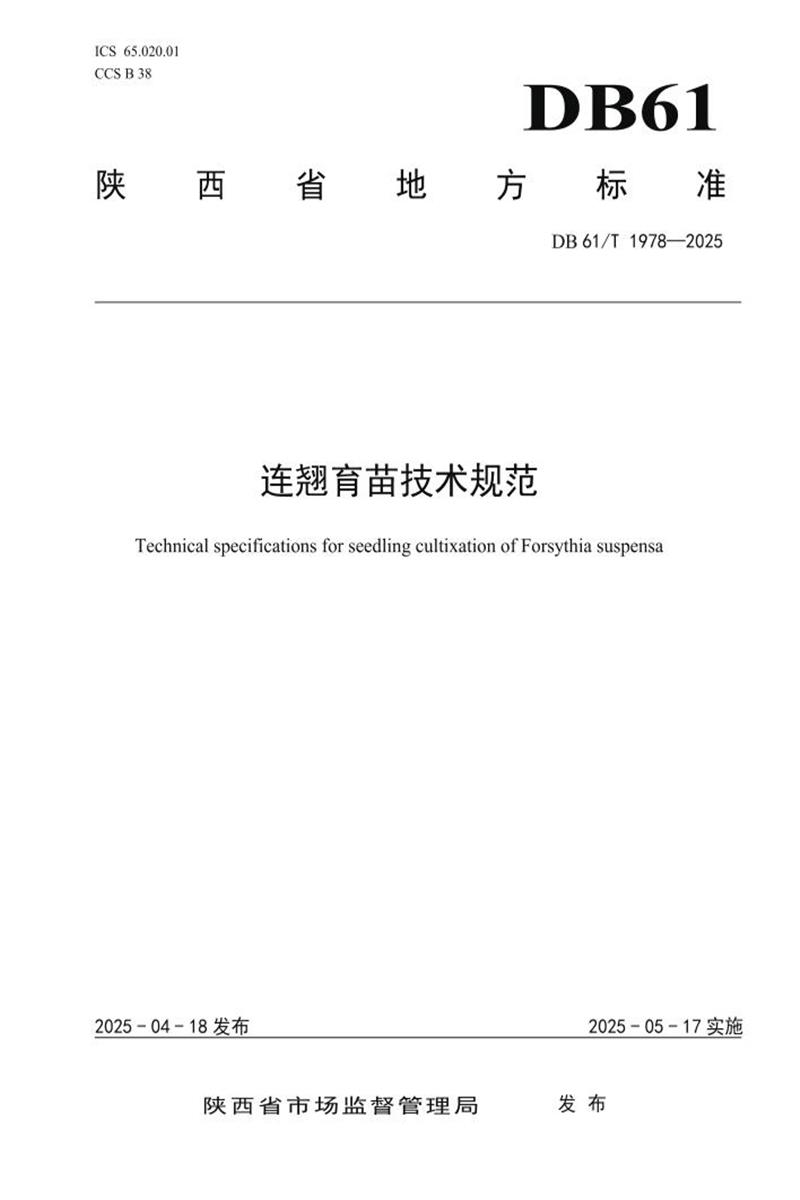 DB61/T 1978-2025 连翘育苗技术规范资源截图