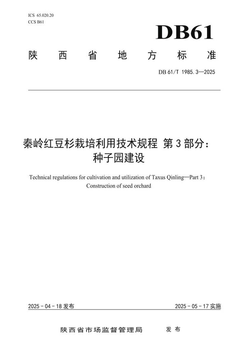 DB61/T 1985.3-2025 秦岭红豆杉栽培利用技术规程 第3部分：种子园建设资源截图