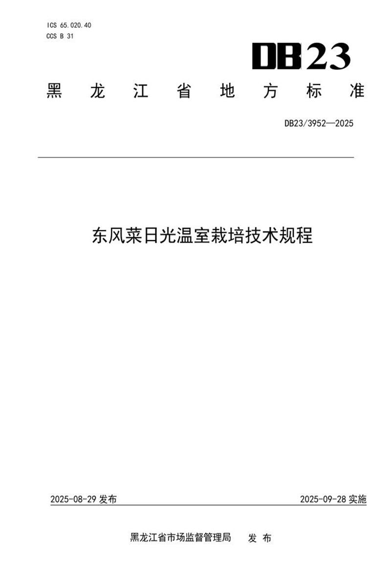 DB23/T 3952-2025 东风菜日光温室栽培技术规程资源截图