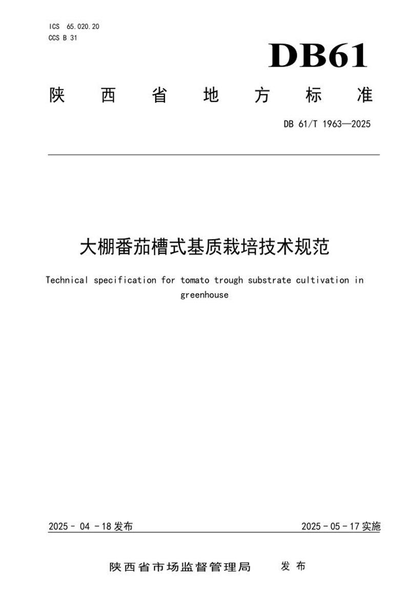 DB61/T 1963-2025 大棚番茄槽式基质栽培技术规范资源截图