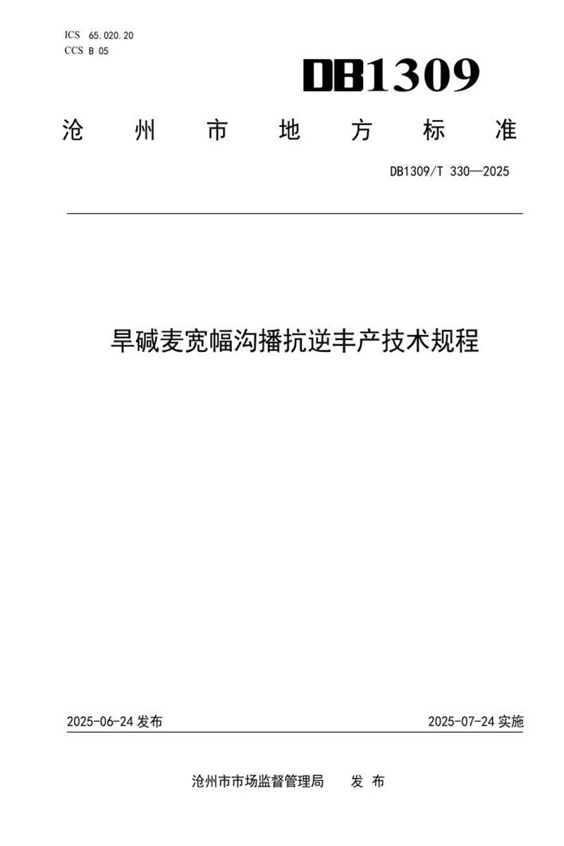 DB1309/T 330-2025 旱碱麦宽幅沟播抗逆丰产技术规程资源截图