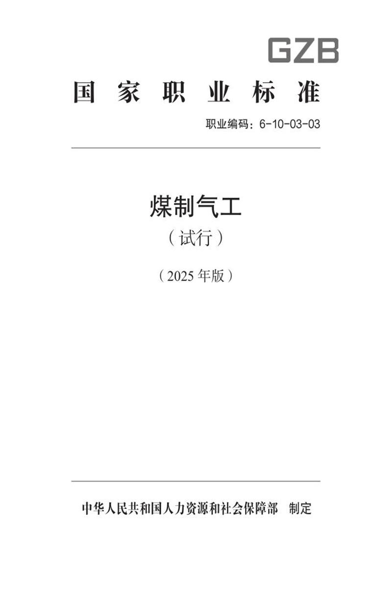 国家职业标准 6-10-03-03 煤制气工（试行） 2025年版资源截图
