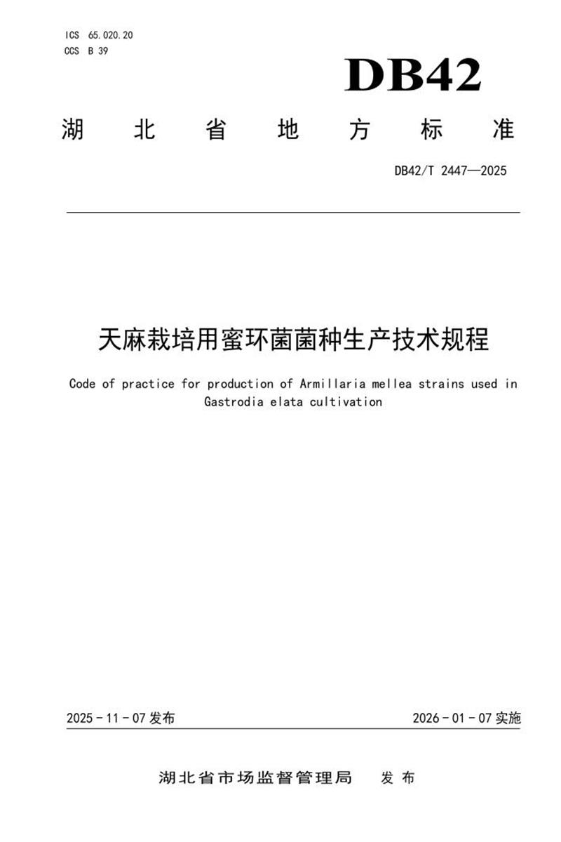 DB42/T 2447-2025 天麻栽培用蜜环菌菌种生产技术规程资源截图