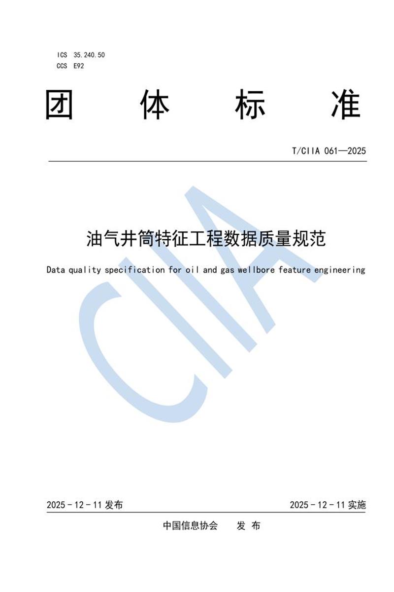 T/CIIA 061-2025 油气井筒特征工程数据质量规范资源截图