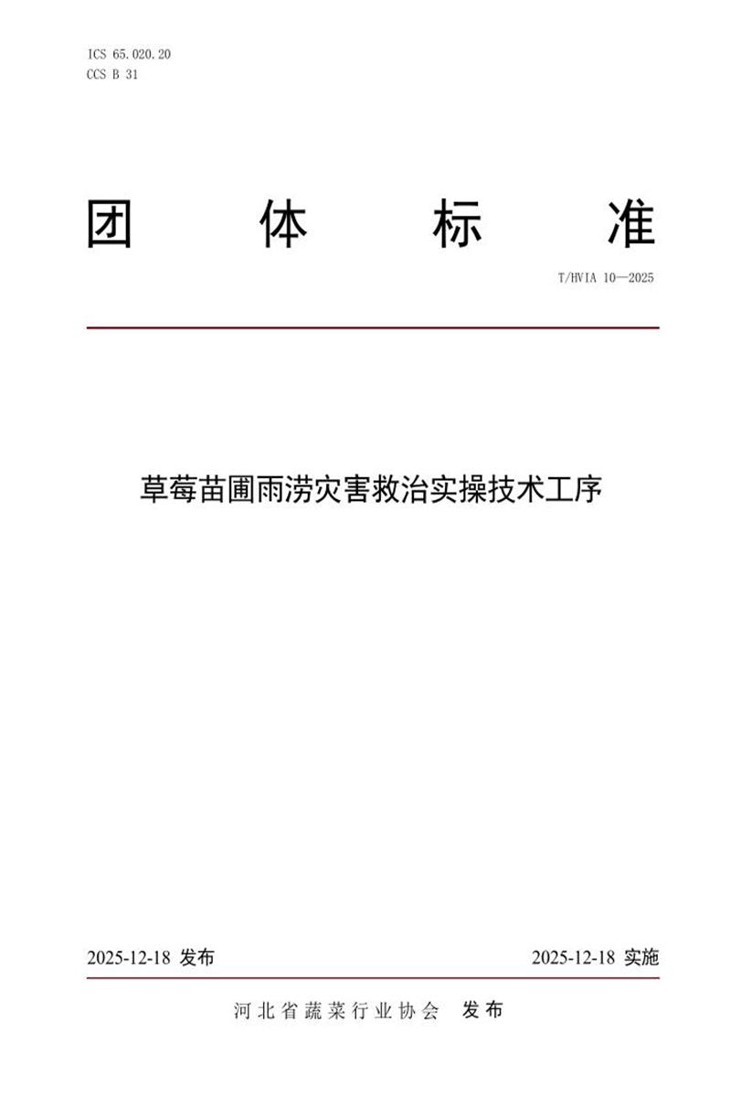 T/HVIA 10-2025 草莓苗圃雨涝灾害救治实操技术工序资源截图