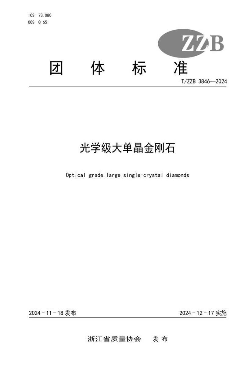 T/ZZB 3846-2024 光学级大单晶金刚石资源截图