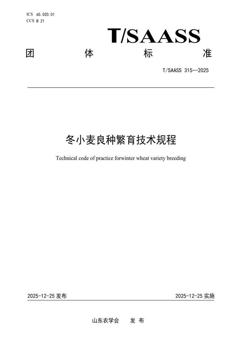 T/SAASS 315-2025 冬小麦良种繁育技术规程资源截图