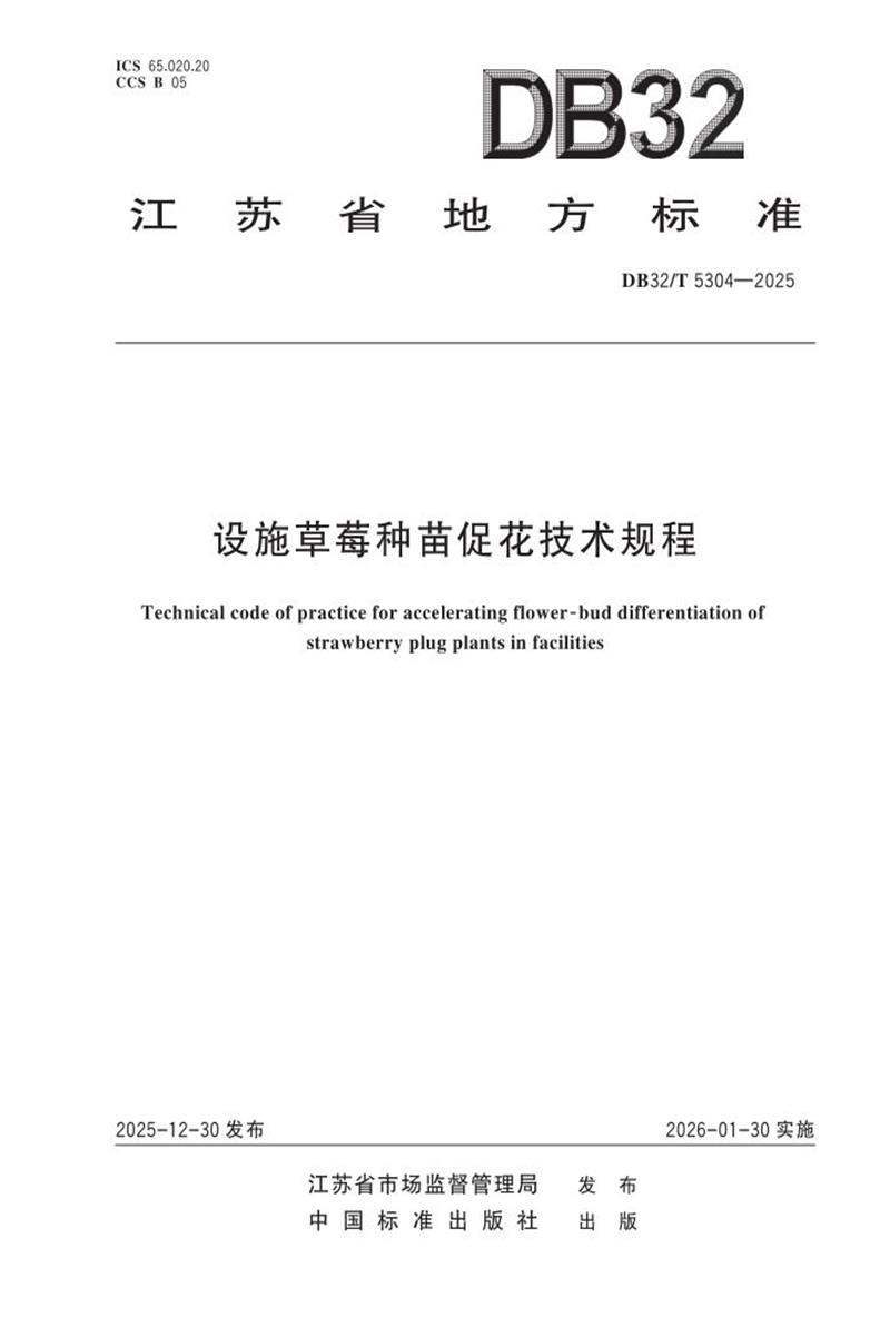 DB32/T 5304-2025 设施草莓种苗促花技术规程资源截图