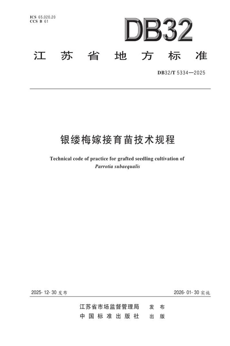 DB32/T 5334-2025 银缕梅嫁接育苗技术规程资源截图
