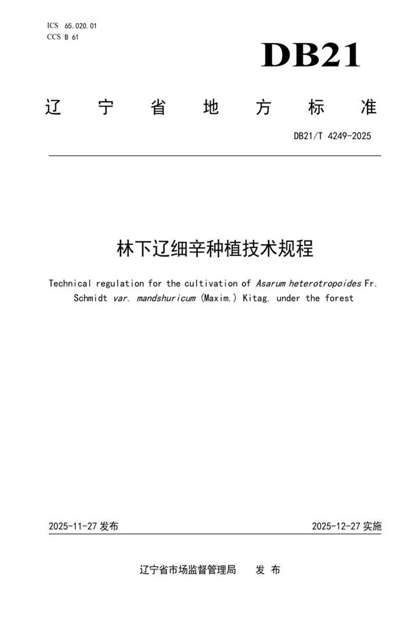 DB21/T 4249-2025 林下辽细辛种植技术规程资源截图