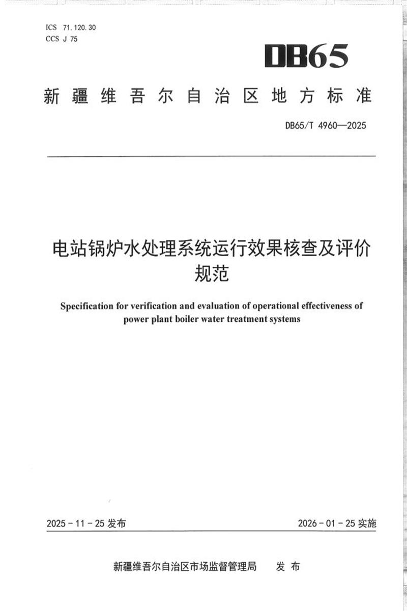DB65/T 4960-2025 电站锅炉水处理系统运行效果核查及评价规范资源截图