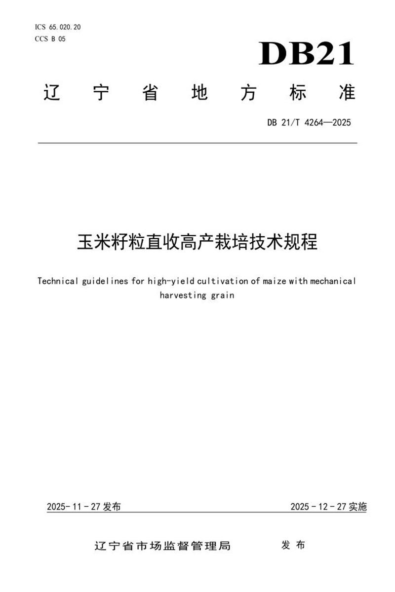 DB21/T 4264-2025 玉米籽粒直收高产栽培技术规程资源截图