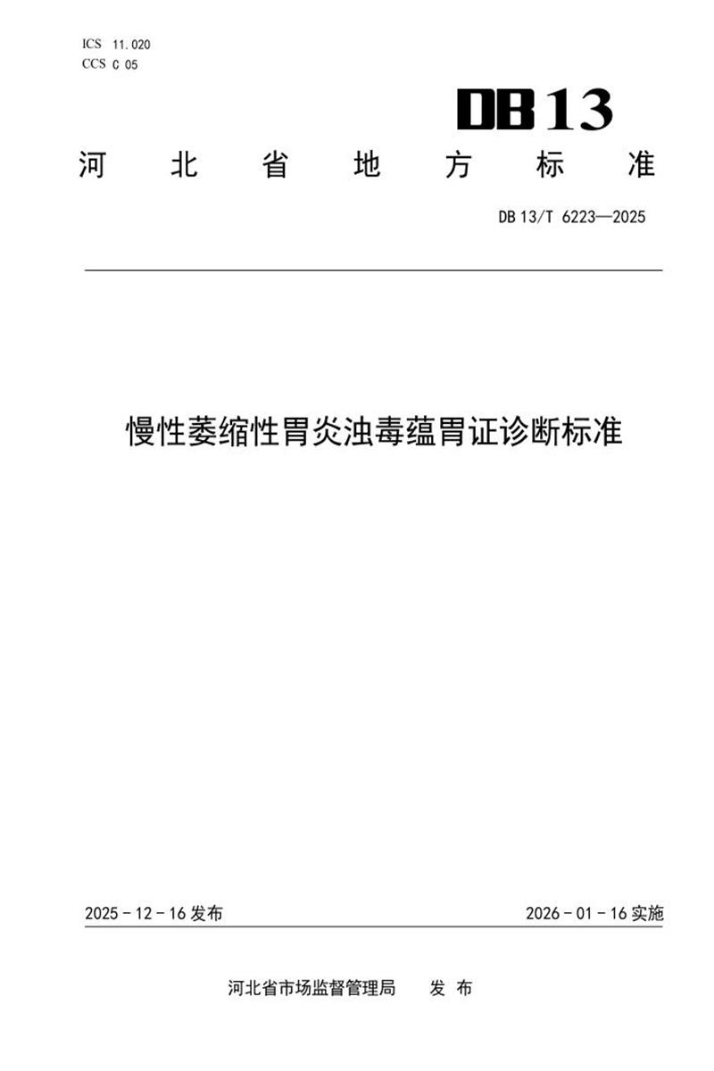 DB13/T 6223-2025 慢性萎缩性胃炎浊毒蕴胃证诊断标准资源截图