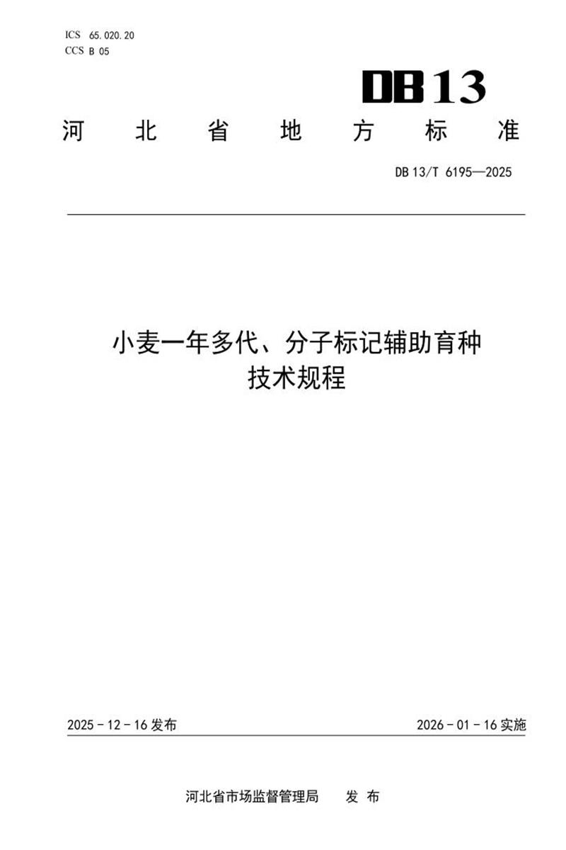 DB13/T 6195-2025 小麦一年多代、分子标记辅助育种技术规程资源截图