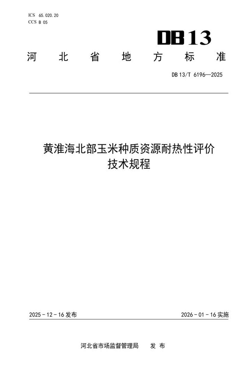 DB13/T 6196-2025 黄淮海北部玉米种质资源耐热性评价技术规程资源截图